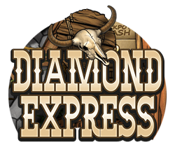 Diamond Express spilleautomat - logo