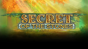 Secret-of-the-Stones_Banner