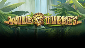 Wild-Turkey_Banner