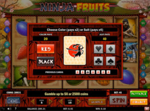 Ninja Fruits slotmaskinen SS-09