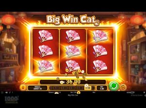 Big-Win-Cat_slotmaskinen-12