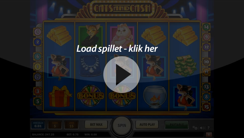 Cats-and-Cash_Box-game-1000freespins